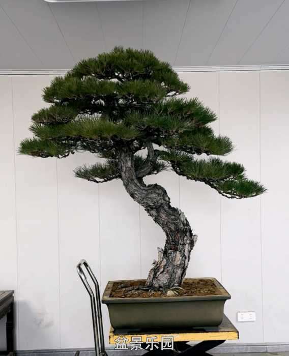 ����һ����ͺ��ɡ�