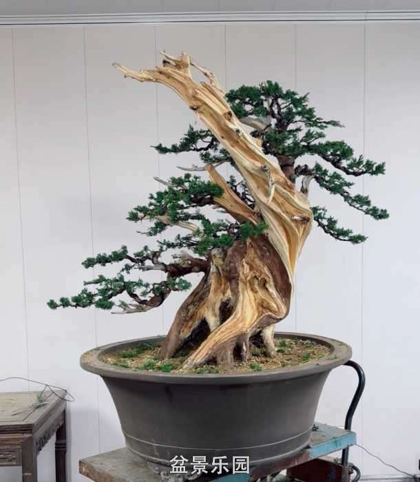 ����һ�����