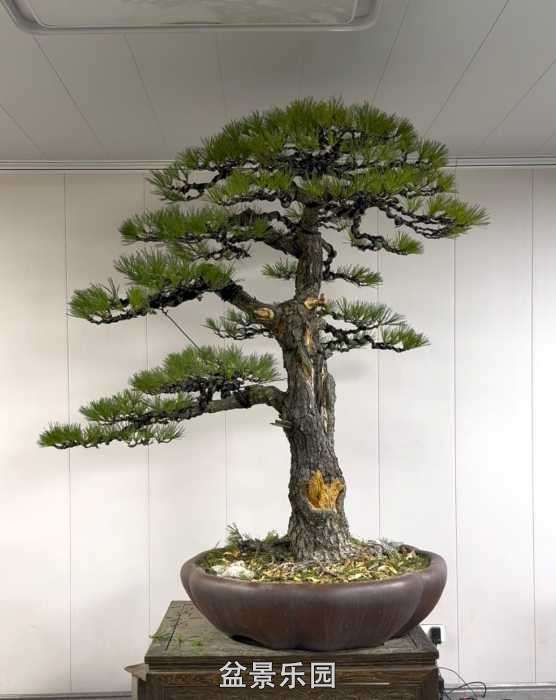 һ��ֱ�˺���