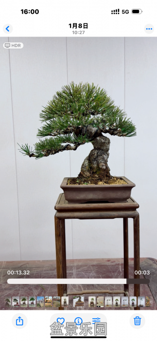 ����һ����ɡ�