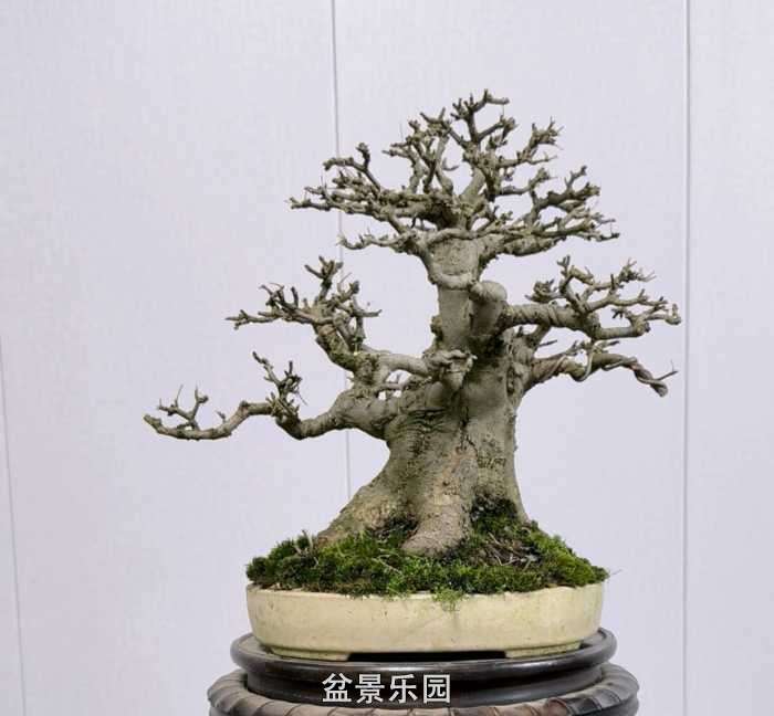 һ�����Ƿ�