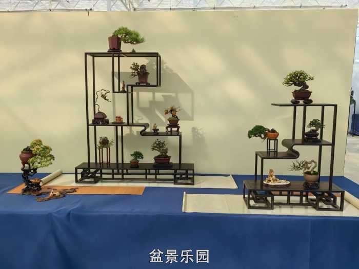 2025�����й��辰���龭��СƷչ��Ʒȫ�� 18