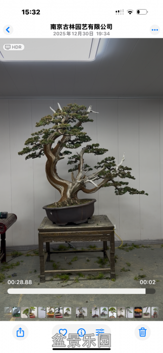 ����һ�����