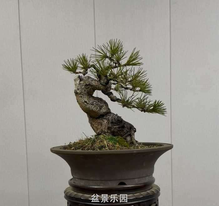 ����һ��С����