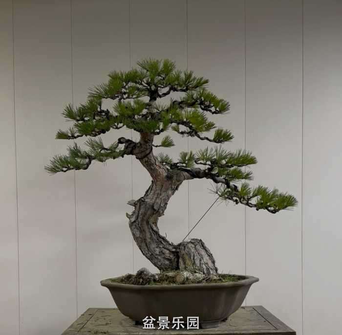 ����һ�����