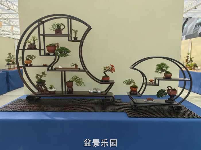 2025�����й��辰���龭��СƷչ��Ʒȫ�� 21