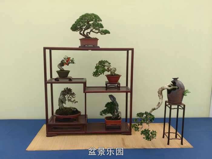 2025�����й��辰���龭��СƷչ��Ʒȫ�� 37