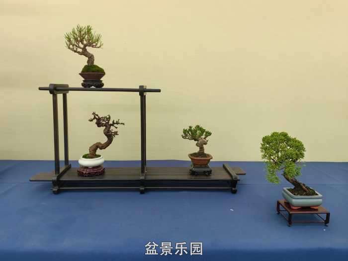 2025�����й��辰���龭��СƷչ��Ʒȫ�� 38