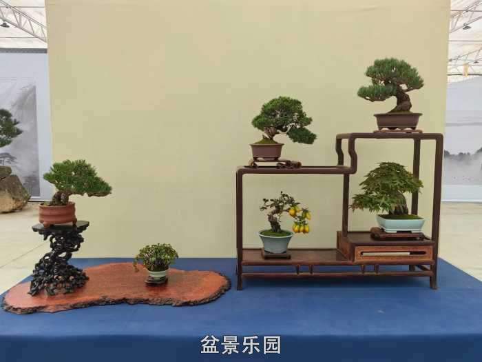 2025�����й��辰���龭��СƷչ��Ʒȫ�� 40