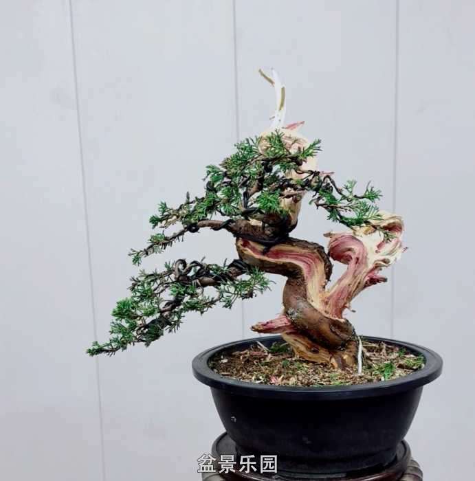 ������һ�����