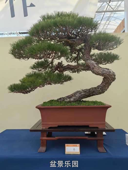 �������й��辰ó�����100������Ʒȫ��2