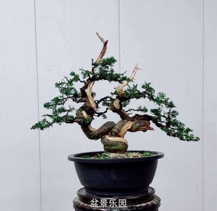 ��������һ�����