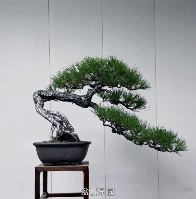 ����һ���ɽ��