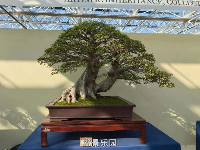 �������й��辰ó�����100������Ʒȫ��8