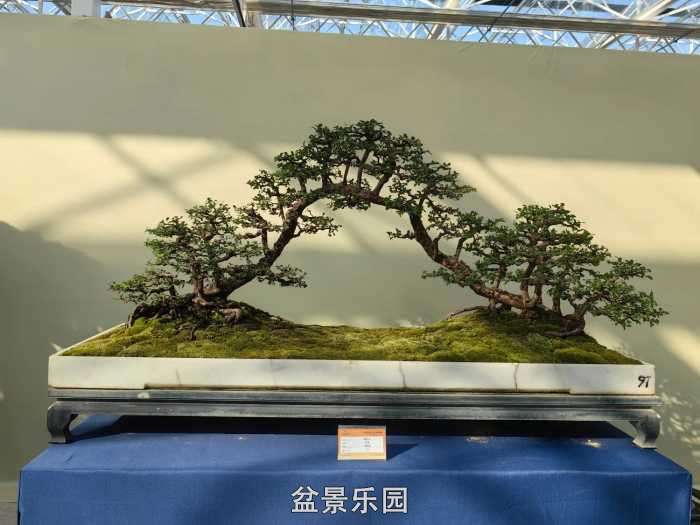 �������й��辰ó�����100������Ʒȫ��9