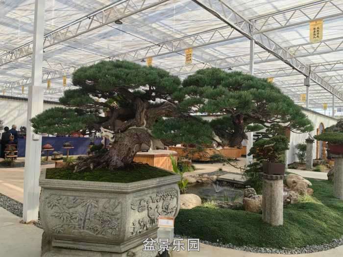 �������й��辰ó�����100������Ʒȫ��11