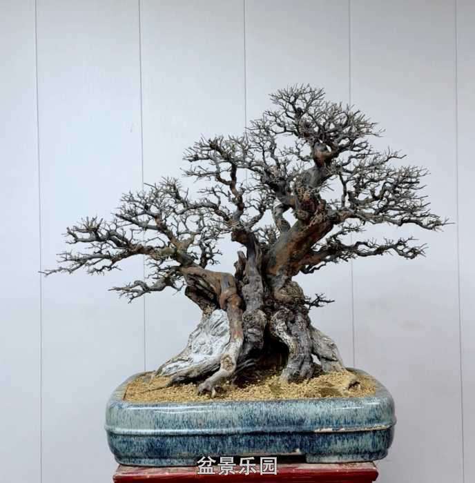 ����һ��ȸ÷