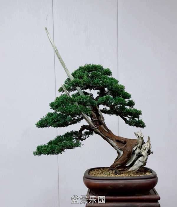 ����һ�����