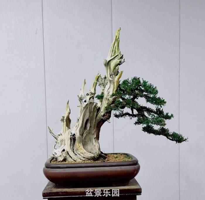 ����һ�����