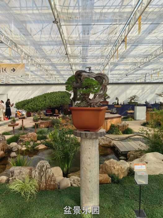 �������й��辰ó�����100������Ʒȫ��12