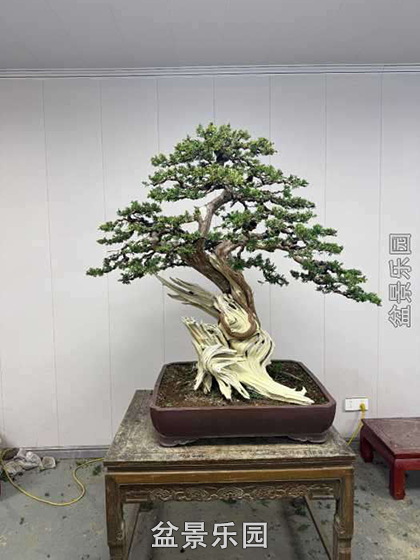 ����һ�����