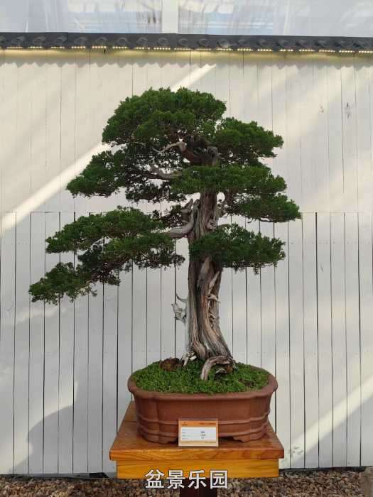 �������й��辰ó�����100������Ʒȫ��31