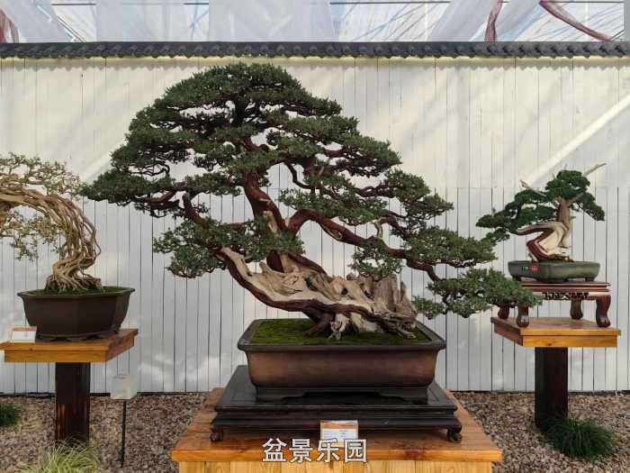 �������й��辰ó�����100������Ʒȫ��32