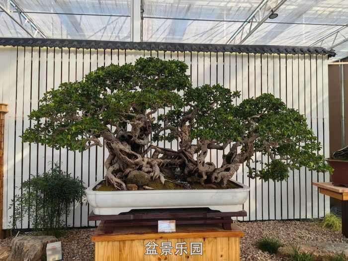 �������й��辰ó�����100������Ʒȫ��33