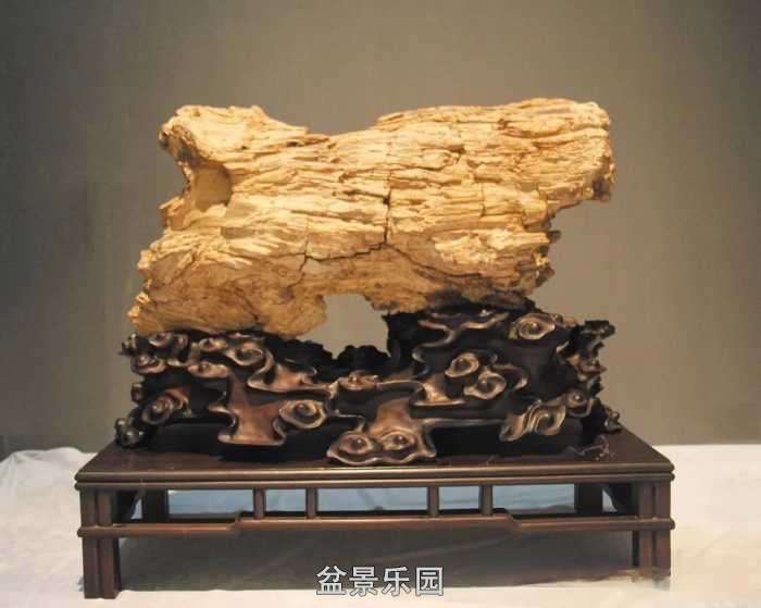 mmexport87fa9c89f54a1182fb81c08311c4abab_1779199978450_edit_9411162614325.jpg