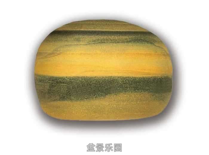 mmexport82d77352844be2f2e2fa76cc7c3fe224_1780498868044_edit_194404239099484.jpg