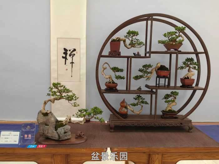 �ڶ����й���СƷ�辰��չ��Ʒȫ��31