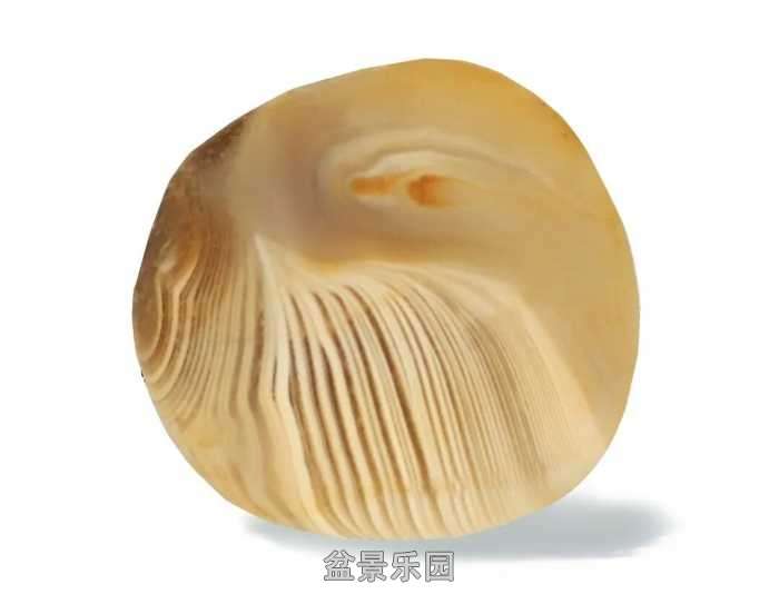 ��ʯ���� 90