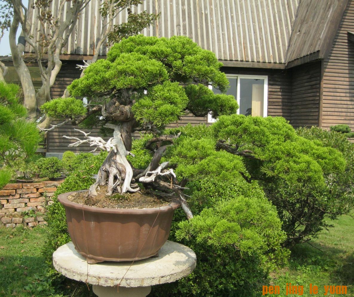 IMG_0571.JPG