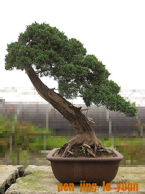 �����辰 036_����_����.jpg