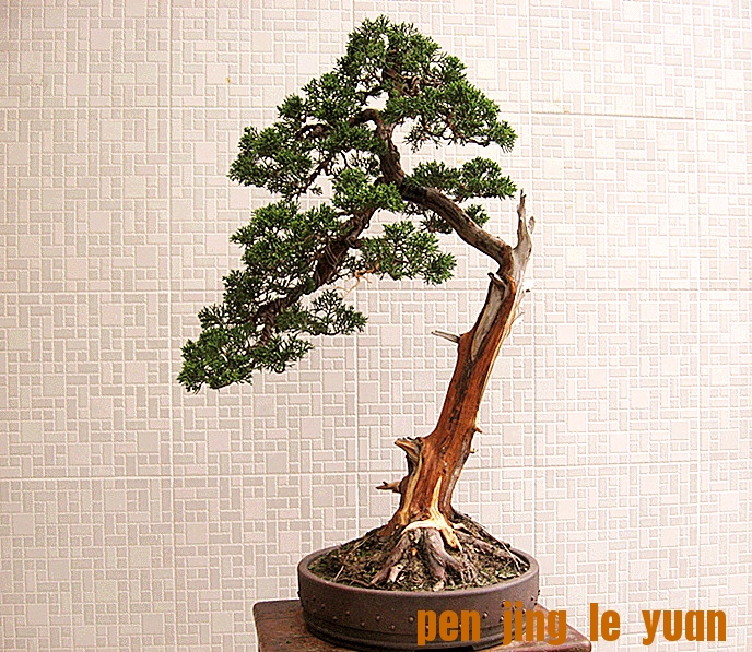 �����辰 016_����.jpg