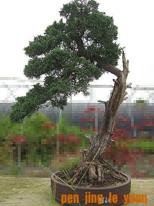 �����辰 037_����_����.jpg