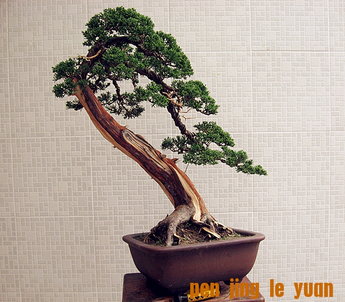 �����辰 015_����.jpg