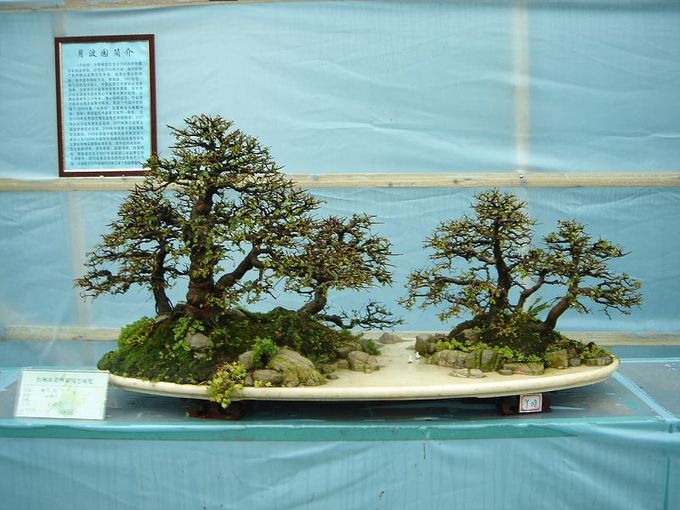 DSC02872.jpg