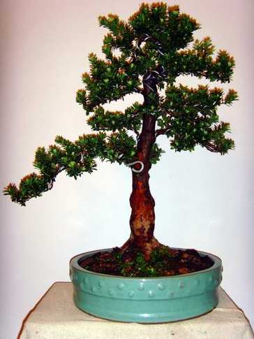 SNV36780.JPG