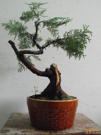 DSCF7213.JPG