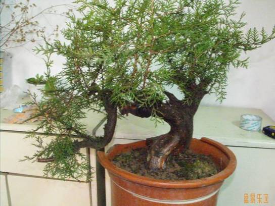 DSCF7129.JPG