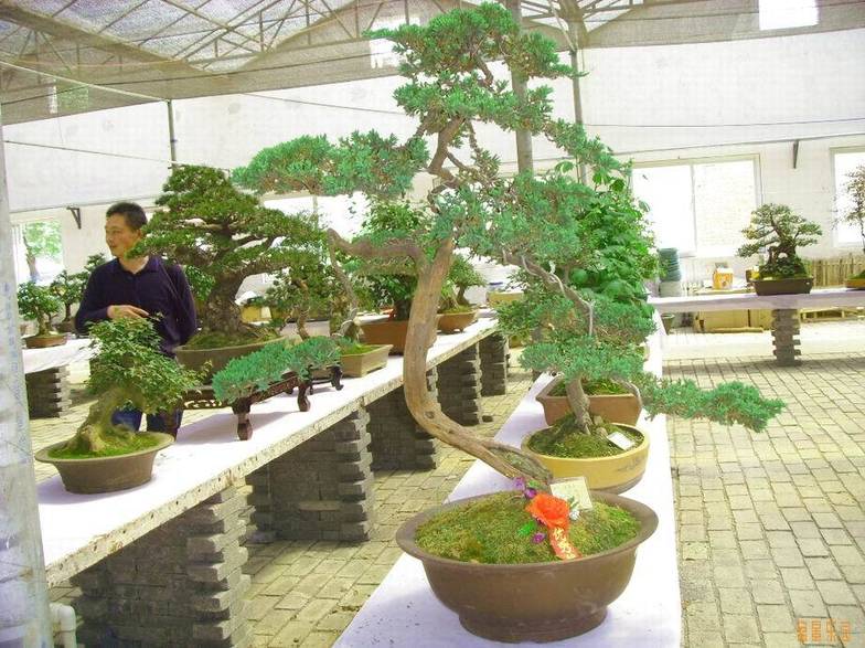 SDC10653.JPG