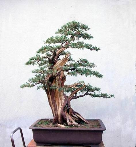 DSCN5226.JPG