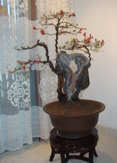 DSC03222.gif