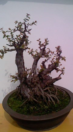 RK000015.JPG