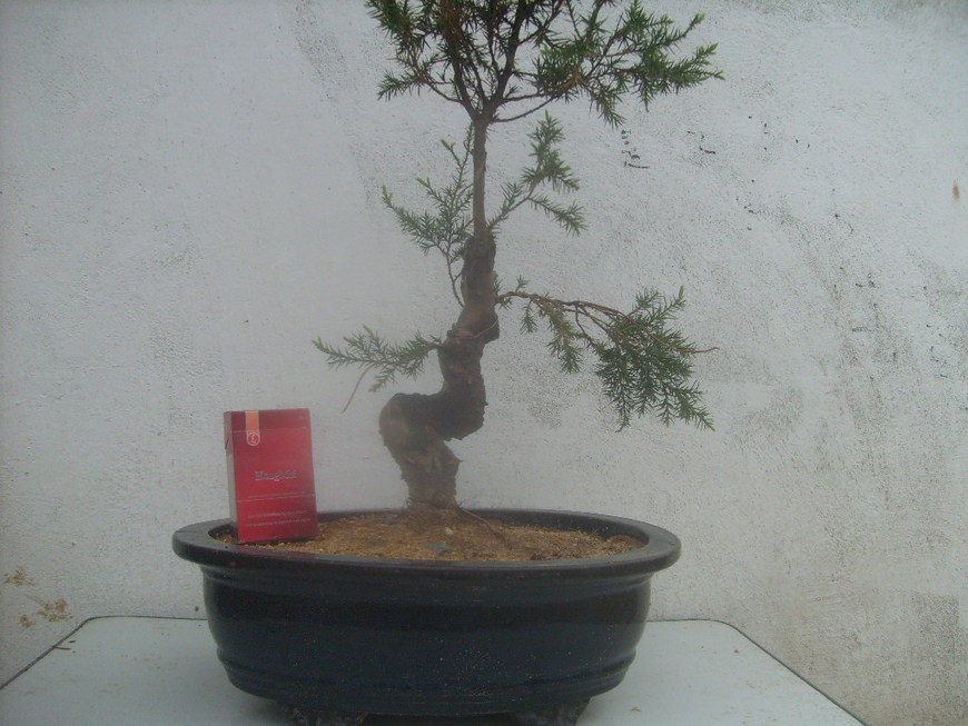 S7300561.JPG