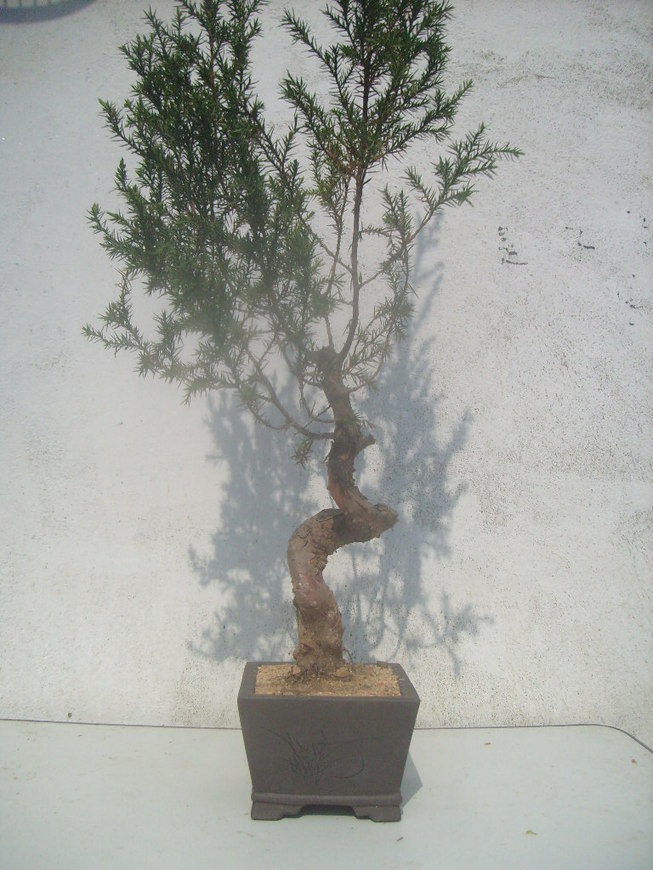 S7300559.JPG