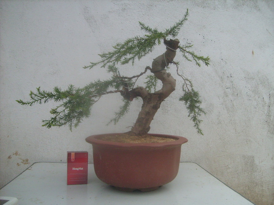 S7300564.JPG