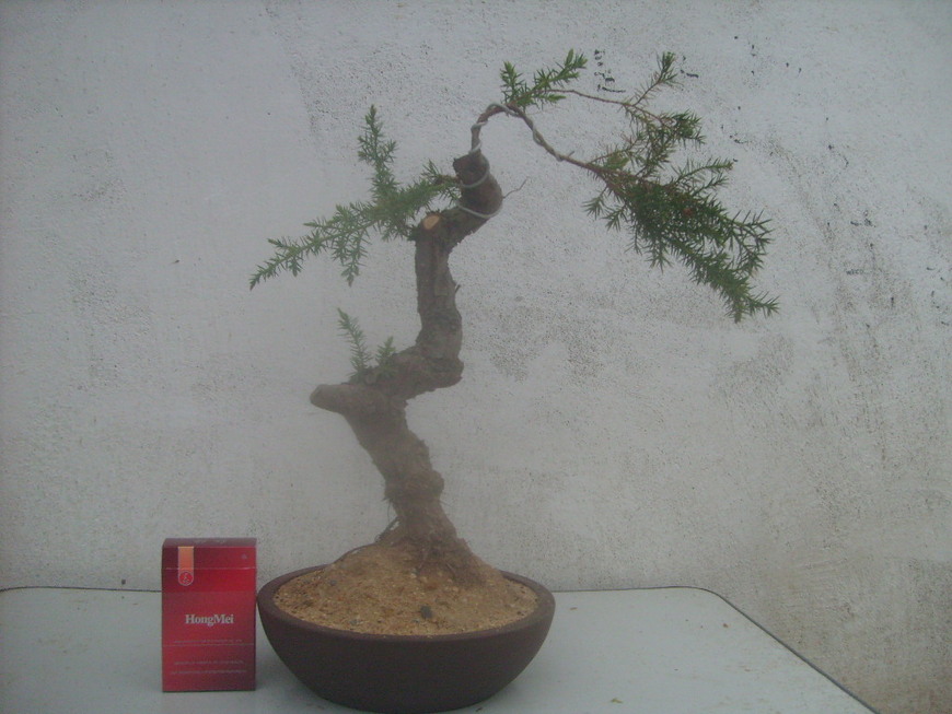 S7300560.JPG