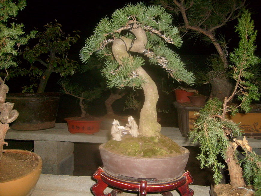 S7300463.JPG